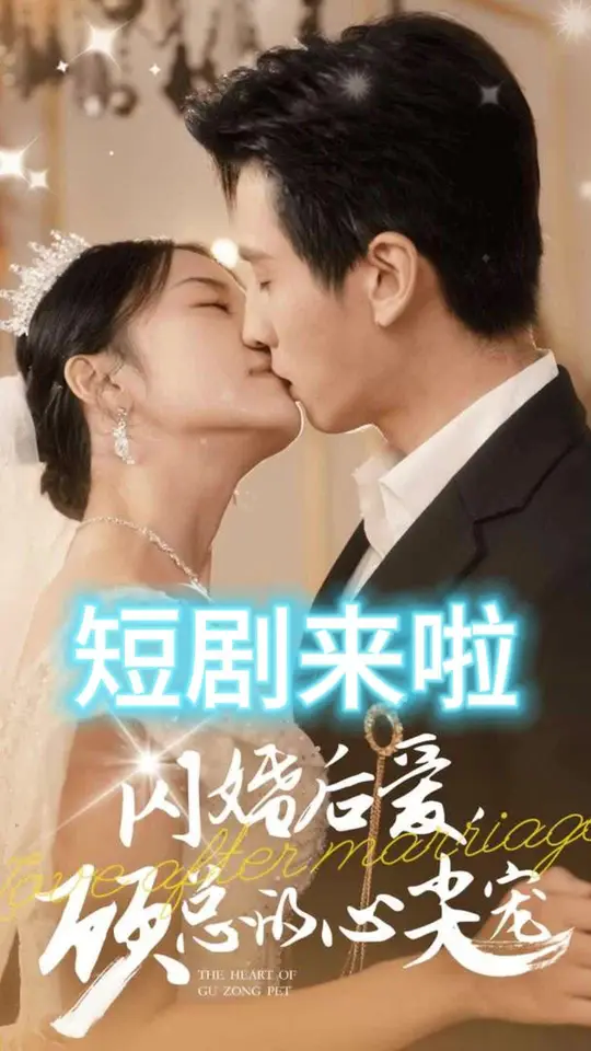 闪婚后爱顾总的心尖宠全集